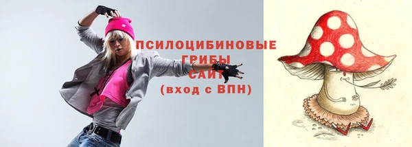 эйфоретик Алзамай