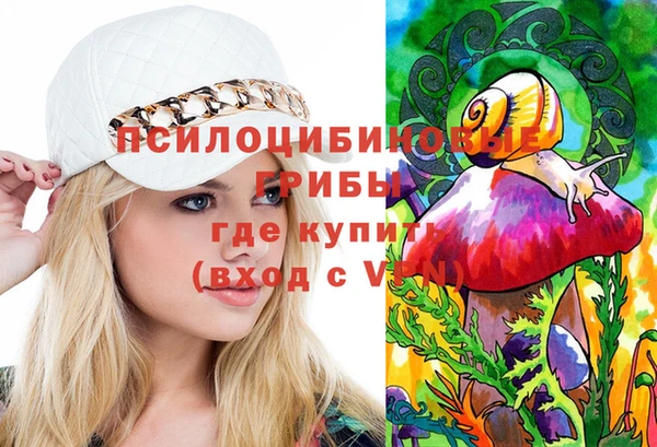 соль ск Абаза