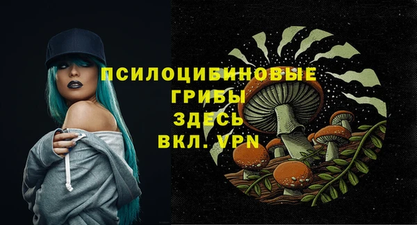 соль ск Абаза