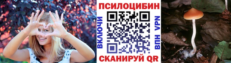 Галлюциногенные грибы GOLDEN TEACHER  продажа наркотиков  Камень-на-Оби 
